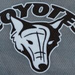 PXL_20260320_164005834~2