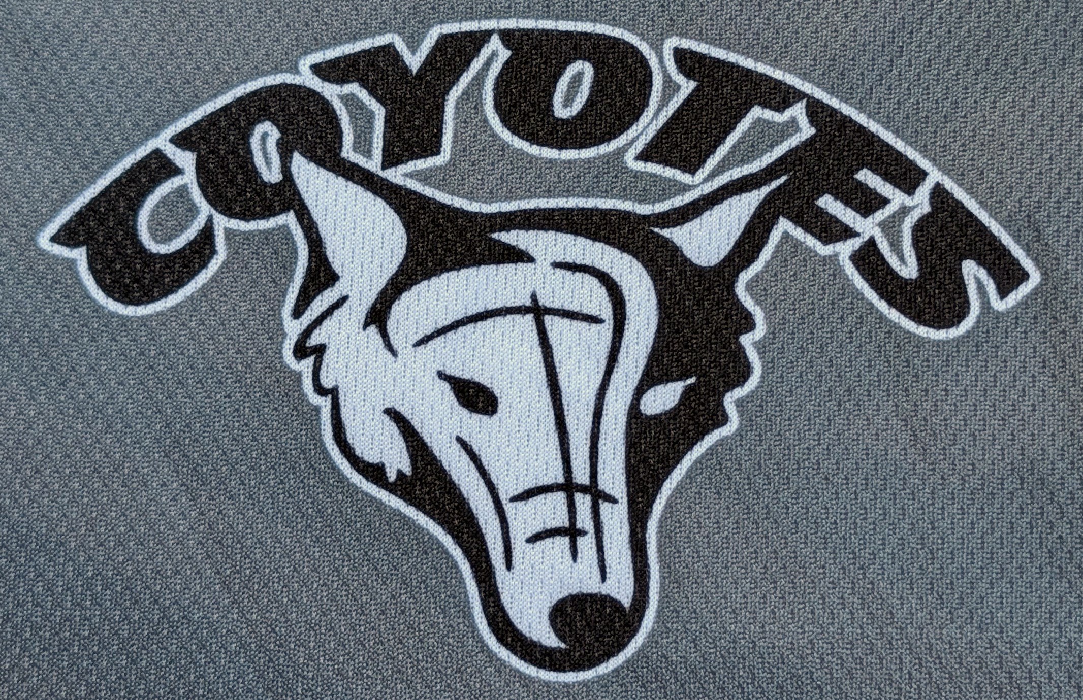 PXL_20260320_164005834~2